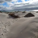 Olardomar