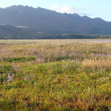 Lantställe Olardomar *