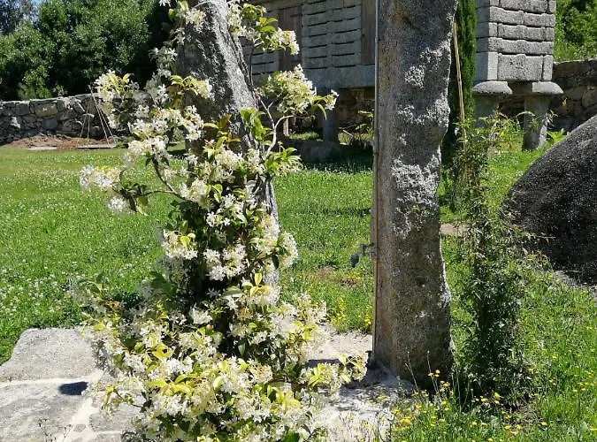 Olardomar * Карнота