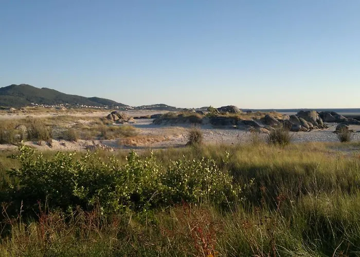 Olardomar * Карнота