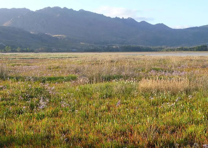 Kır Evi Olardomar *